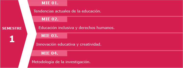 Semestre-1_MIE